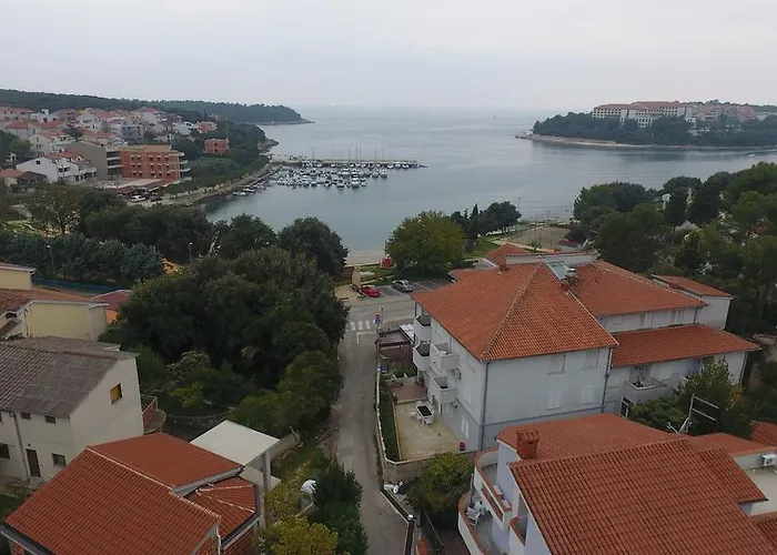 And Dama Pula